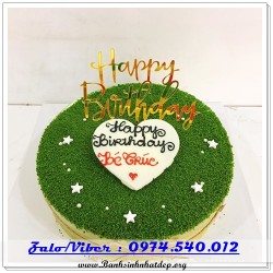 Mẫu Bánh Sinh Nhật Đẹp - A793